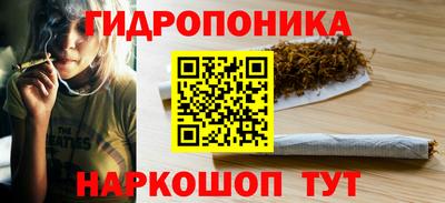 прущие грибы Бийск