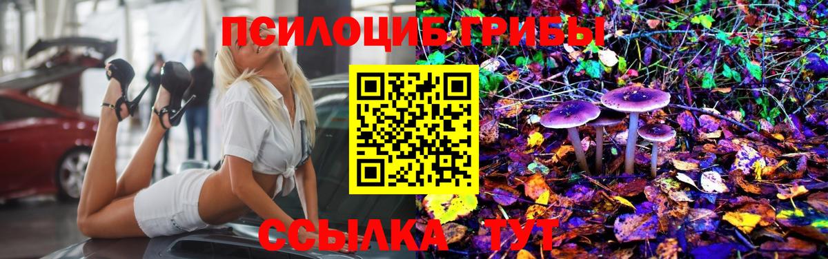 Галлюциногенные грибы Psilocybine cubensis  Вход с VPN  Кимовск 