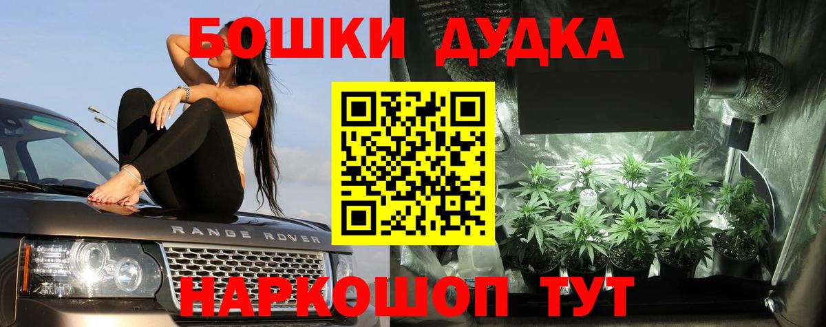 Конопля THC 21%  Каннабис Amnesia  Кимовск  Вход с VPN  Бошки Шишки ГИДРОПОН 